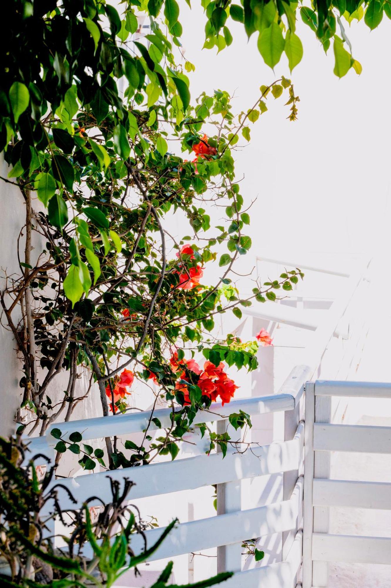 Kamarela Studios Kamári Dış mekan fotoğraf